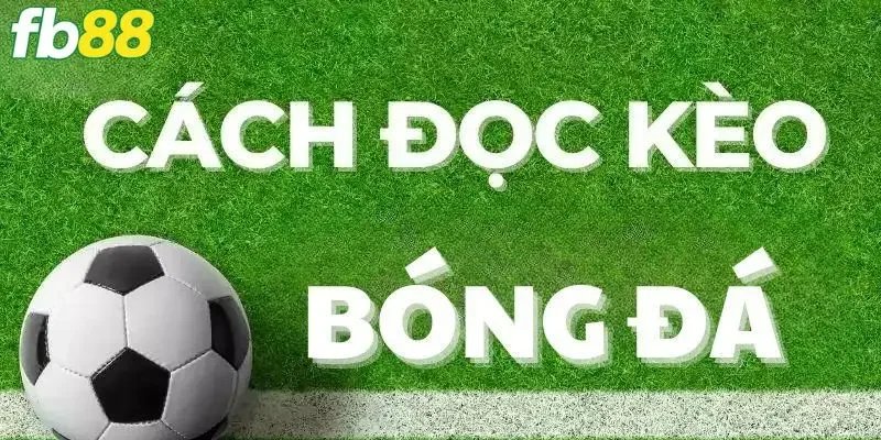 Cách đọc kèo bóng đá